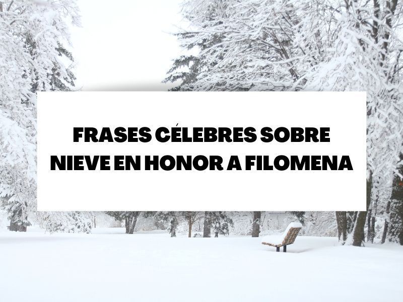 Frases célebres de nieve para recordar la borrasca Filomena