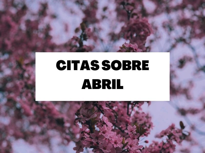 Descubre las mejores citas sobre el mes de Abril