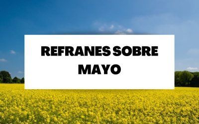 Descubre los mejores refranes sobre el mes de mayo