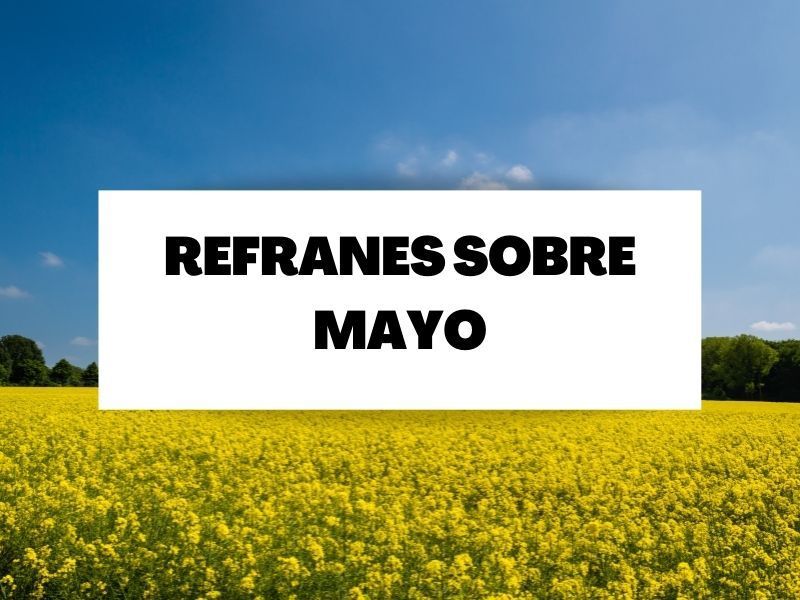 Descubre los mejores refranes sobre el mes de mayo